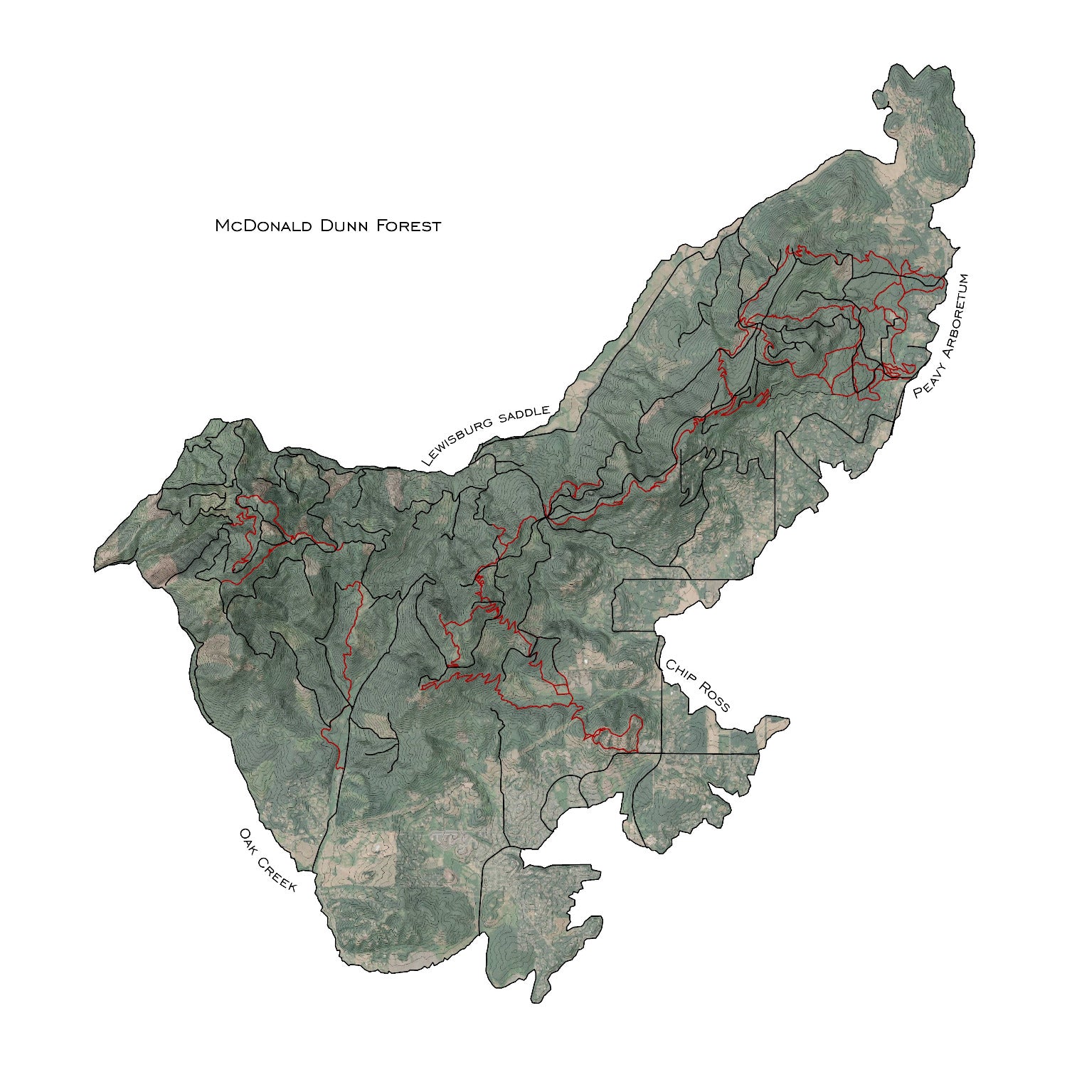 Topographic map of McDonald Dunn Forest with labeled features on a white background