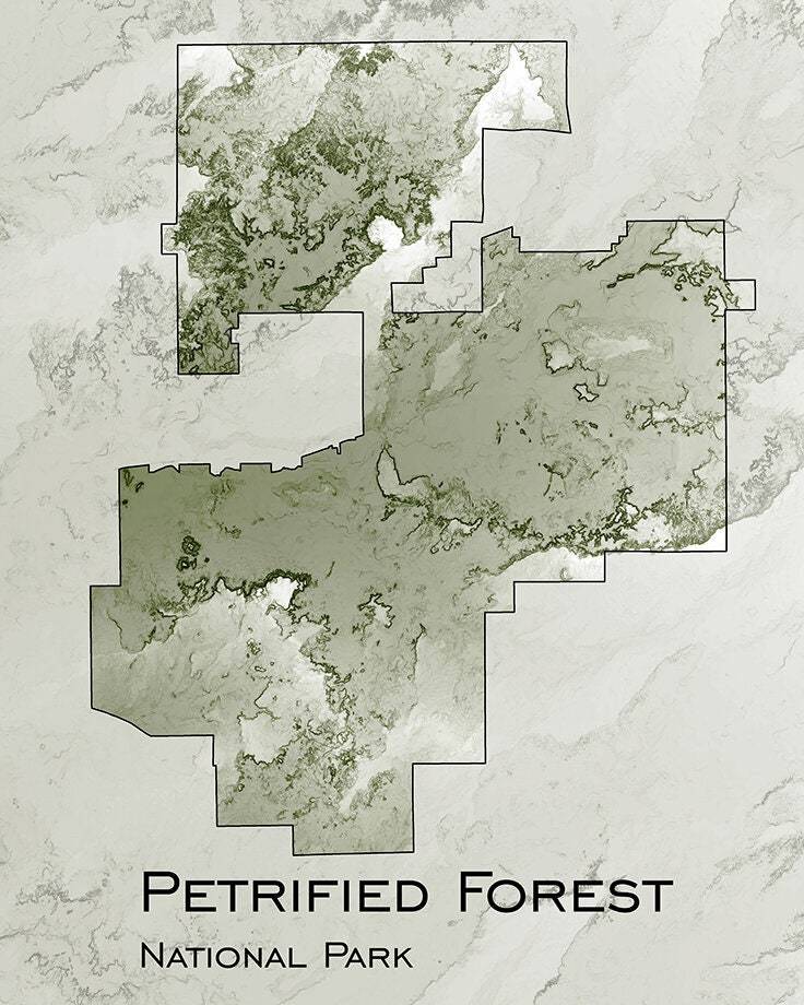 Petrified Forest