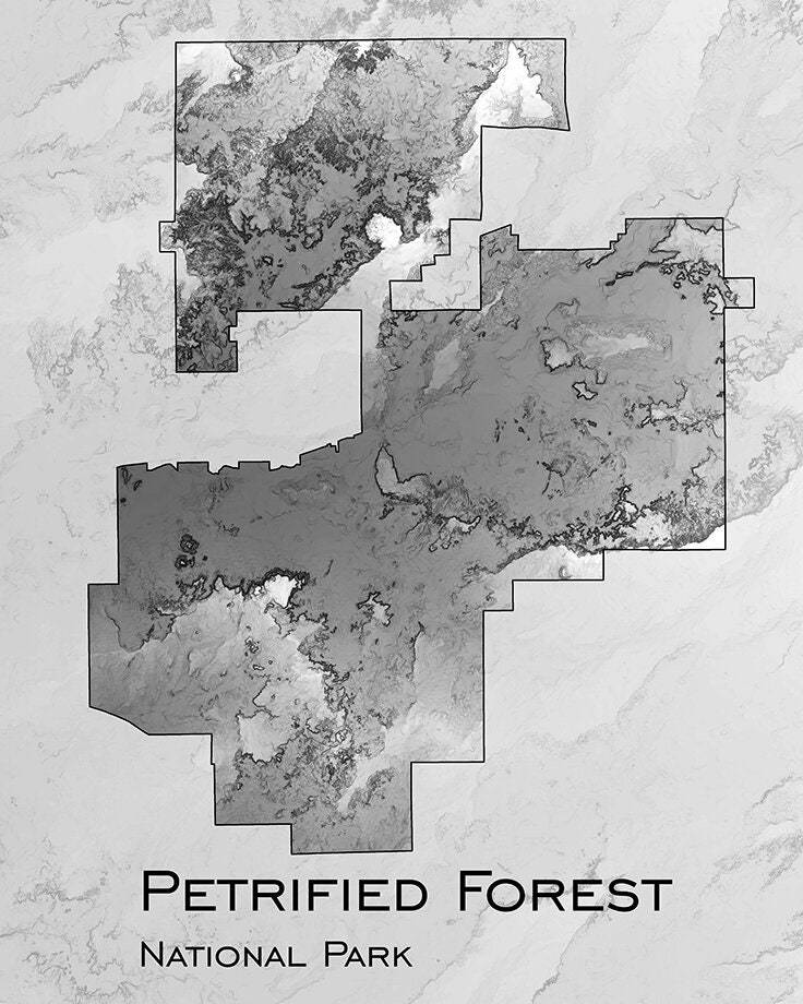 Petrified Forest
