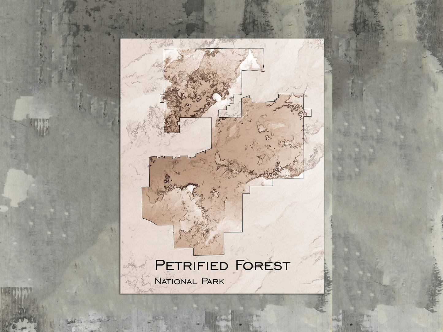 Petrified Forest