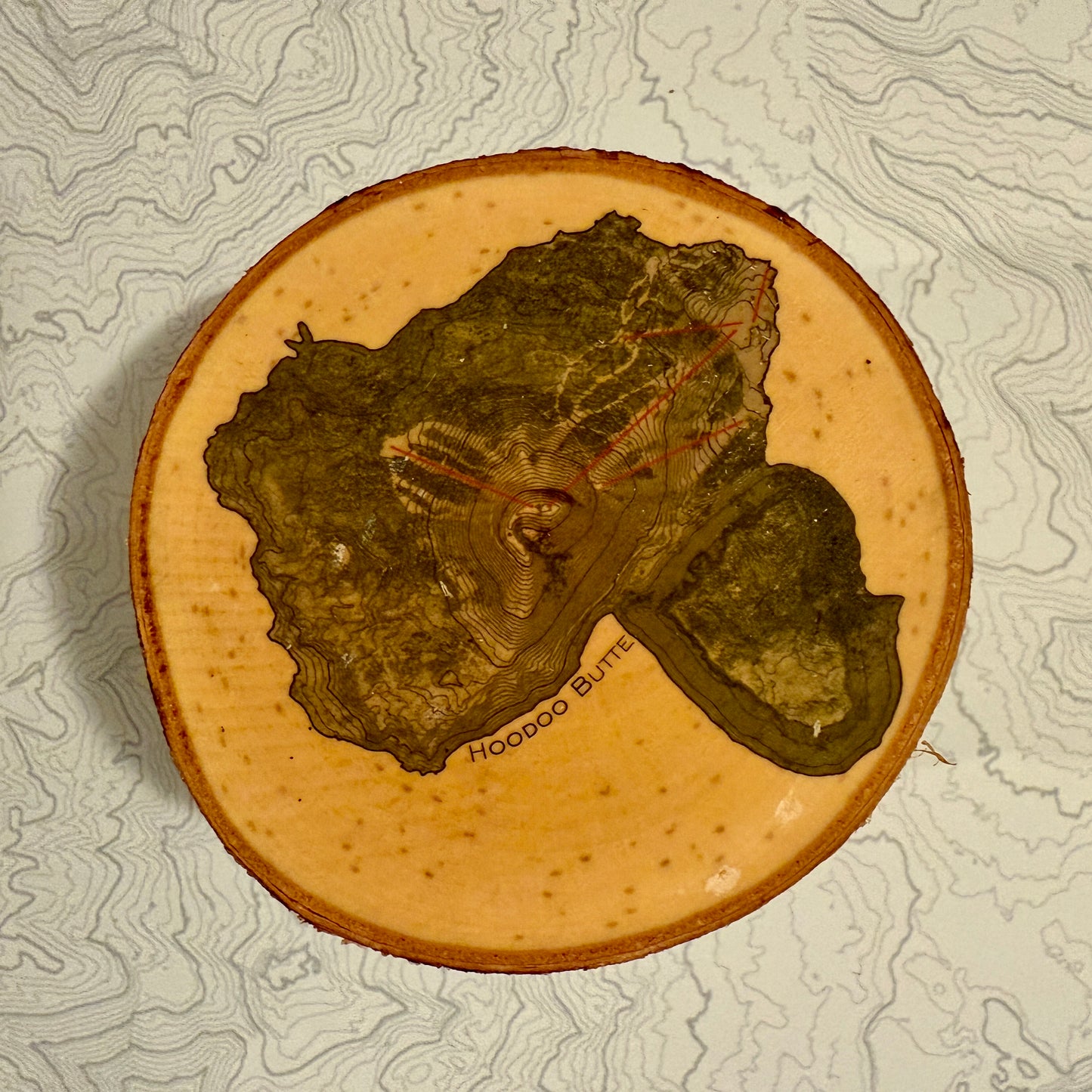 Topo Coaster | Live-Edge Birch