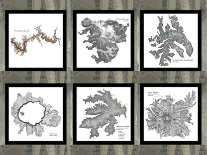 Buy two get one 50% off!