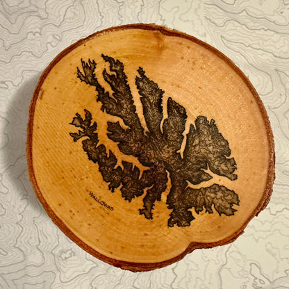 Topo Coaster | Live-Edge Birch