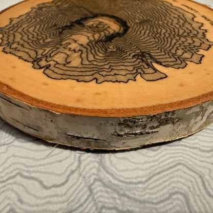 Topo Coaster | Live-Edge Birch