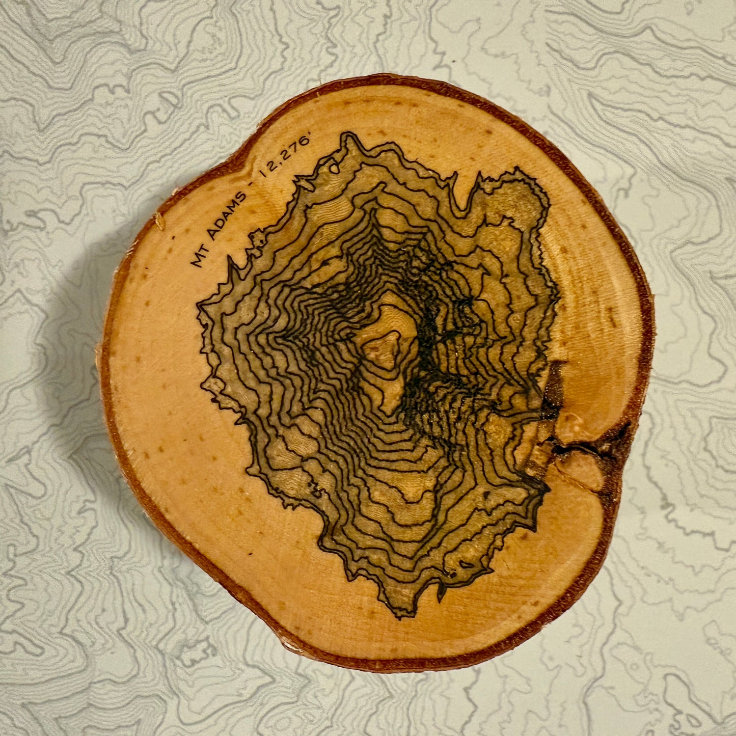 Topo Coaster | Live-Edge Birch