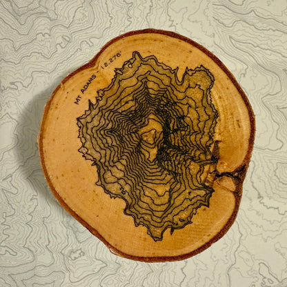 Topo Coaster | Live-Edge Birch