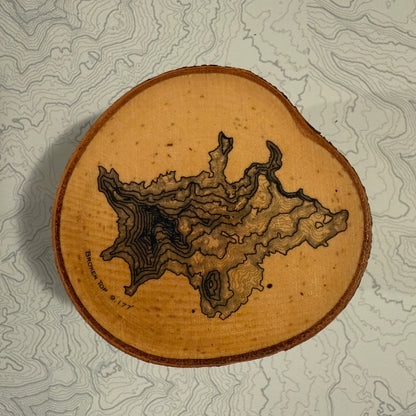 Topo Coaster | Live-Edge Birch