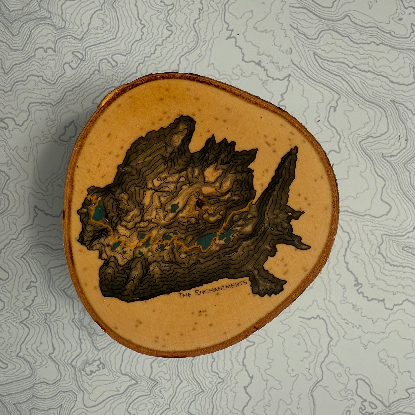 Topo Coaster | Live-Edge Birch