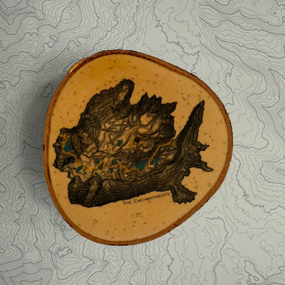 Topo Coaster | Live-Edge Birch