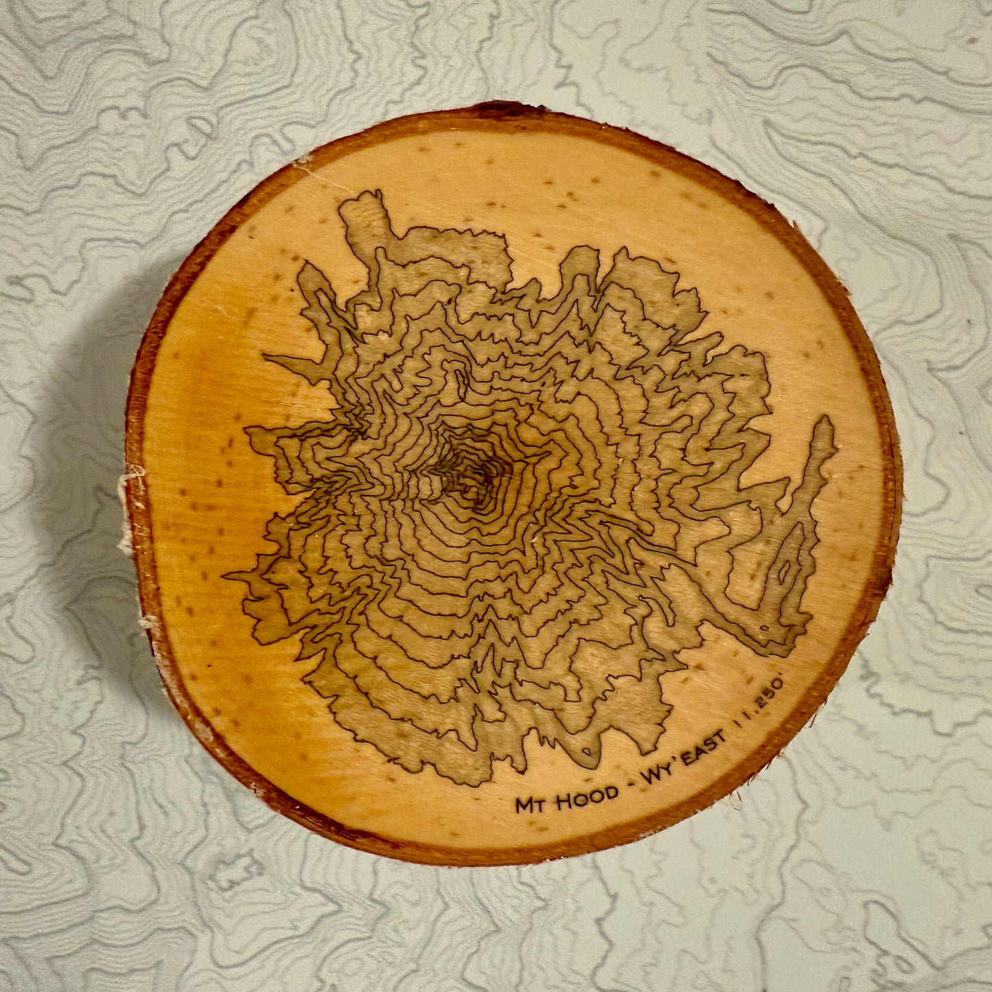 Topo Coaster | Live-Edge Birch