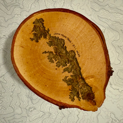 Topo Coaster | Live-Edge Birch