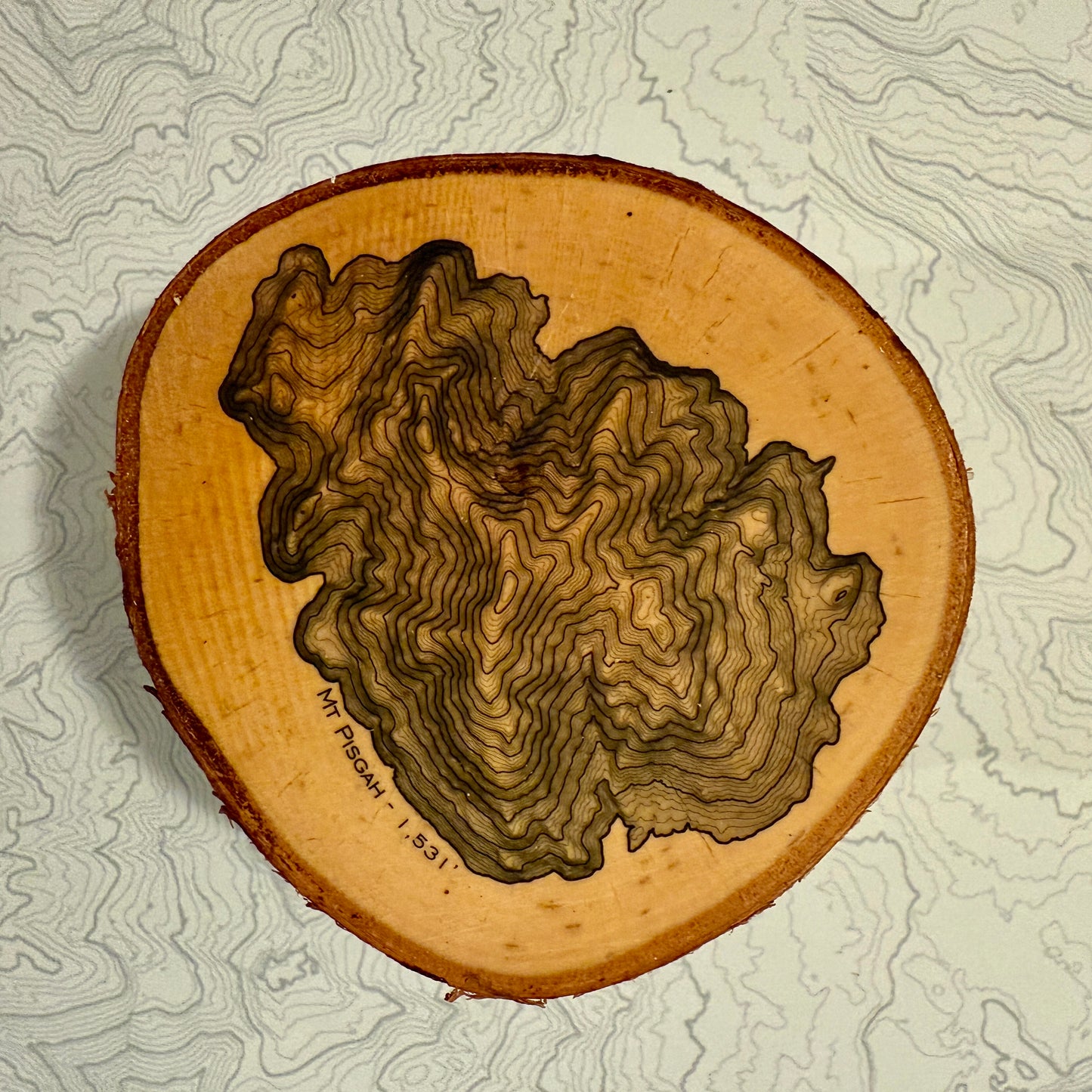 Topo Coaster | Live-Edge Birch