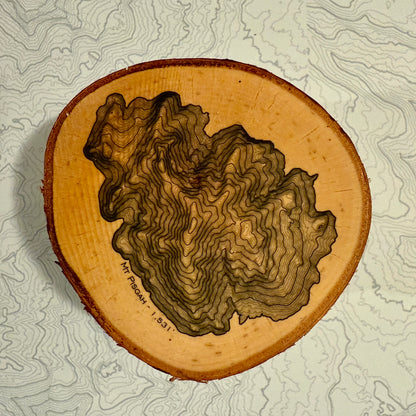 Topo Coaster | Live-Edge Birch