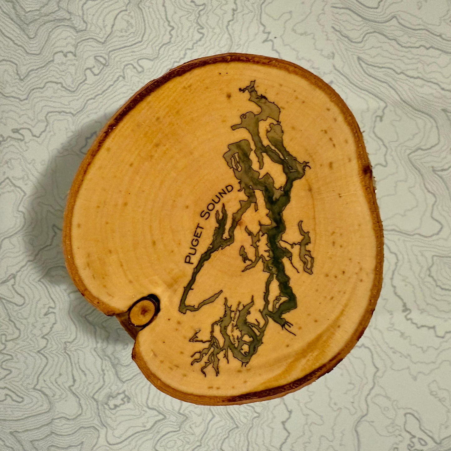 Topo Coaster | Live-Edge Birch