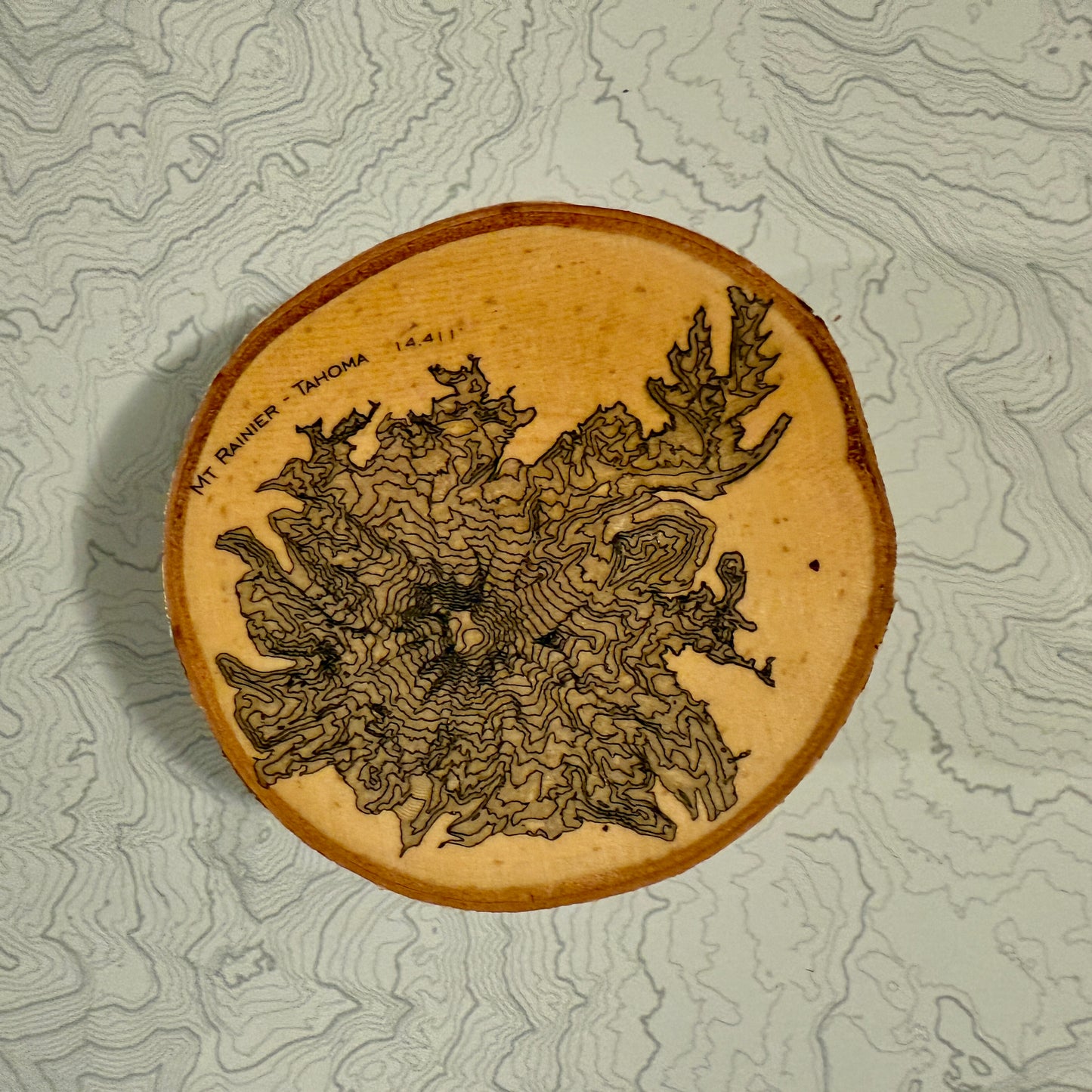 Topo Coaster | Live-Edge Birch