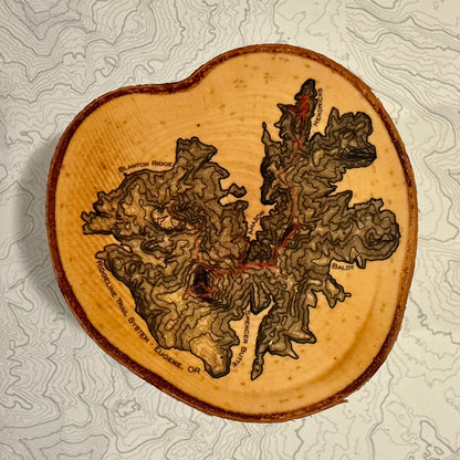 Topo Coaster | Live-Edge Birch