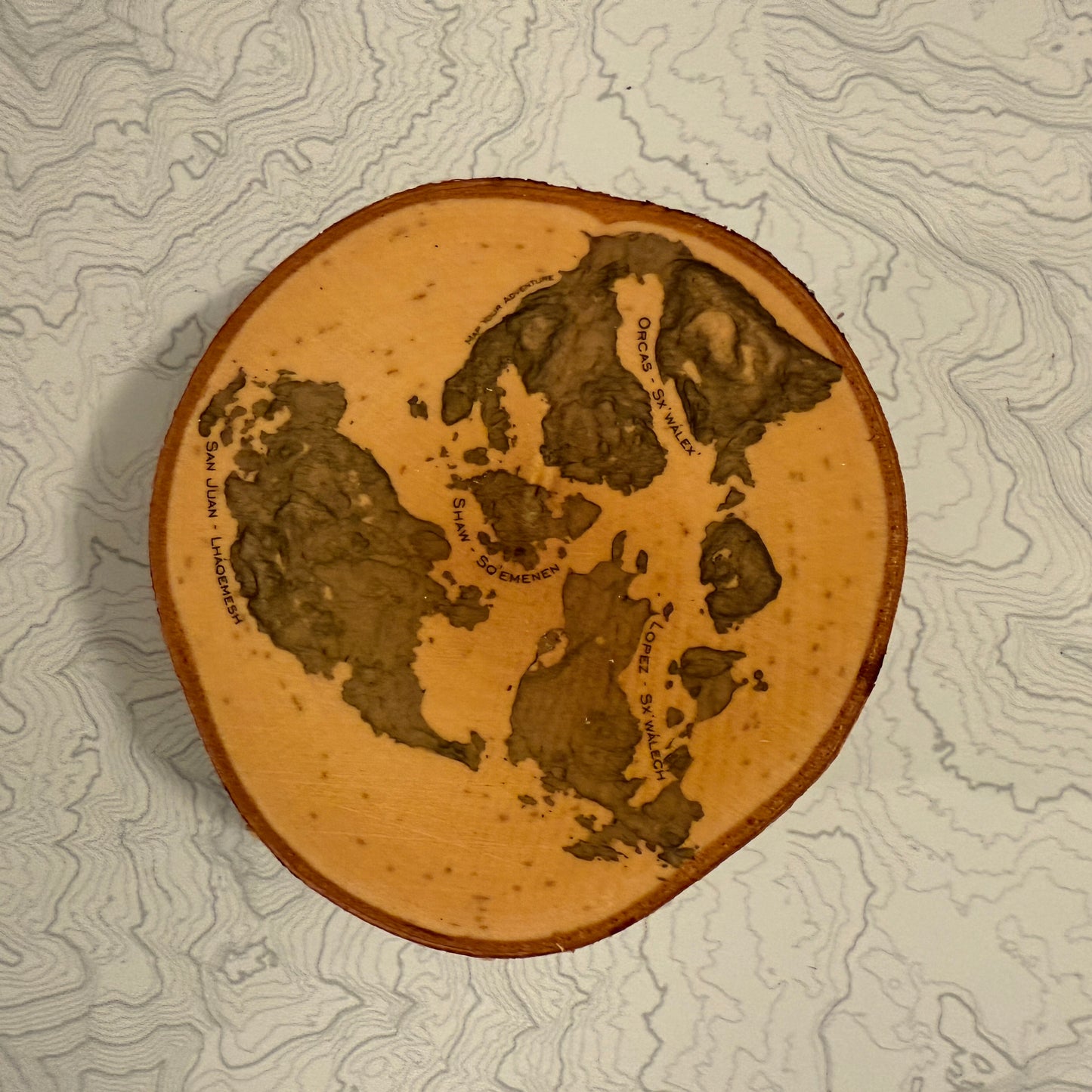 Topo Coaster | Live-Edge Birch