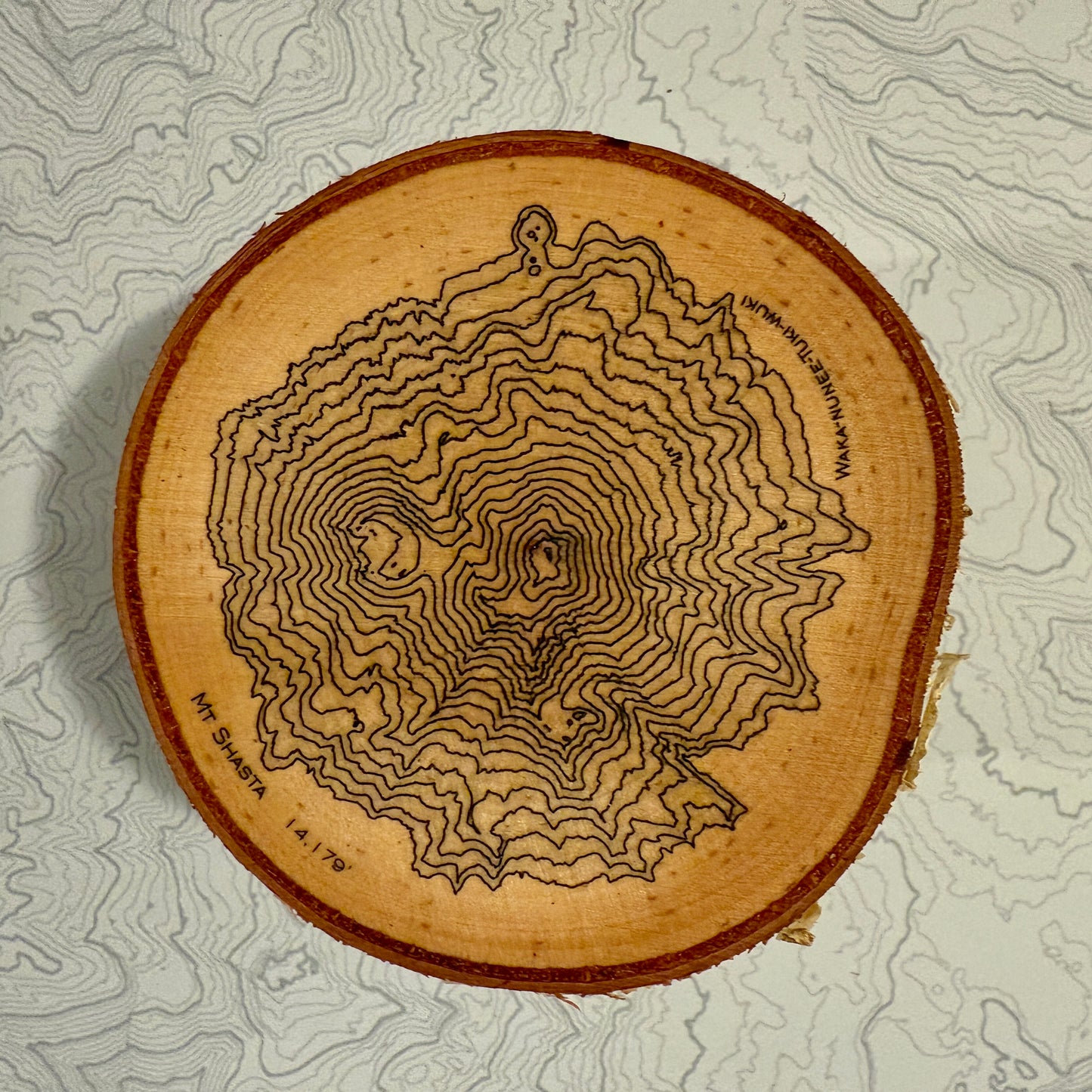 Topo Coaster | Live-Edge Birch