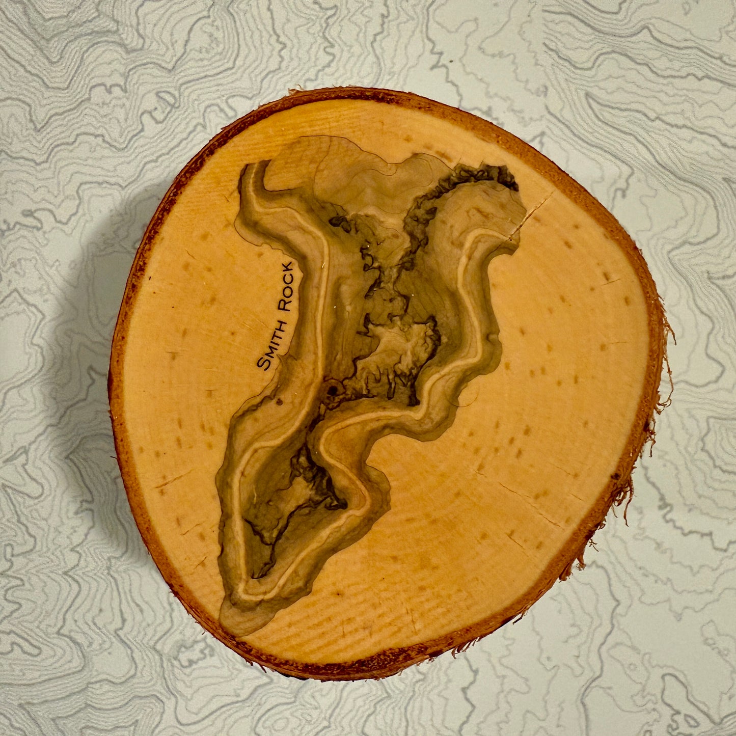 Topo Coaster | Live-Edge Birch