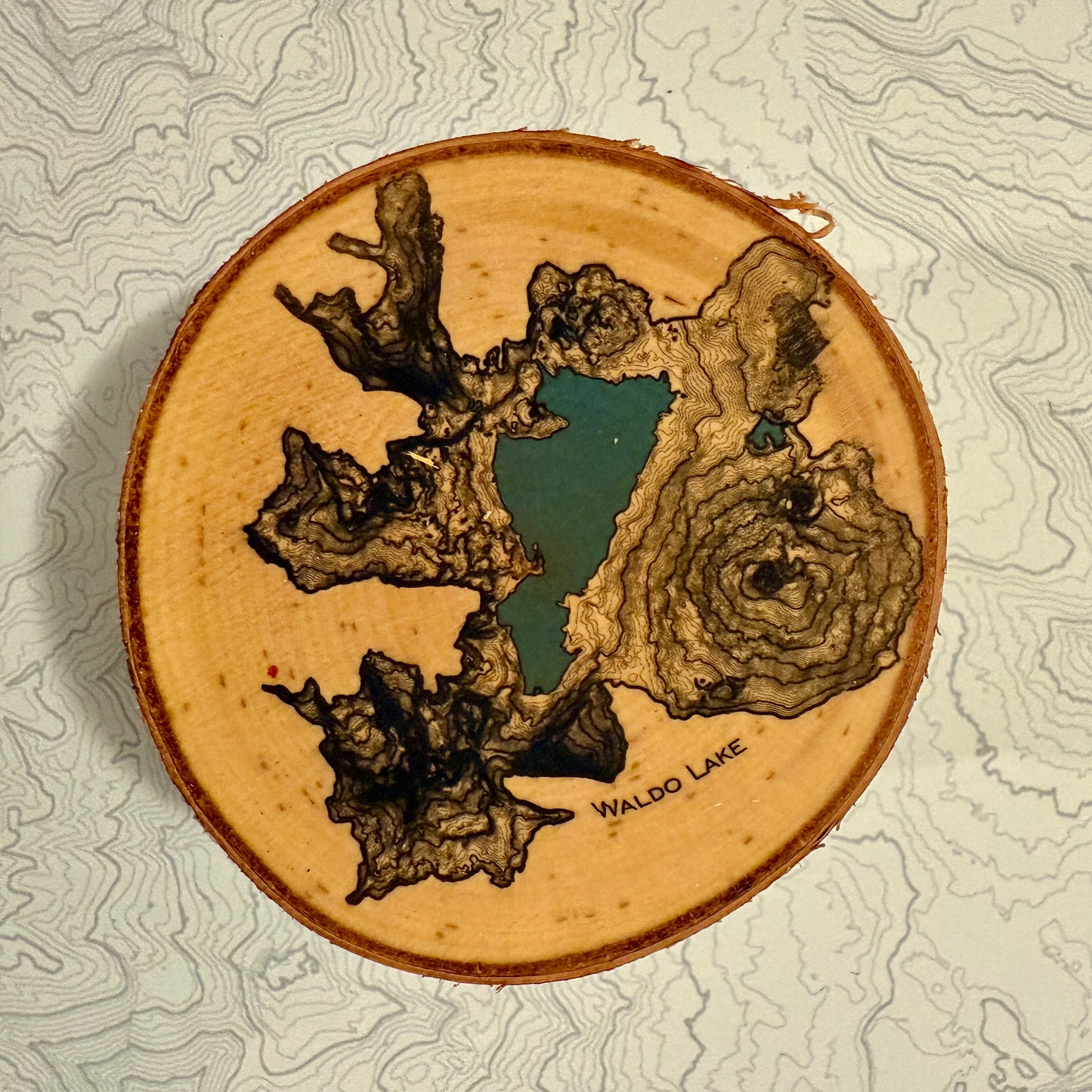 Topo Coaster | Live-Edge Birch