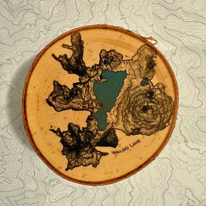 Topo Coaster | Live-Edge Birch