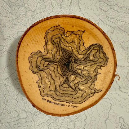 Topo Coaster | Live-Edge Birch