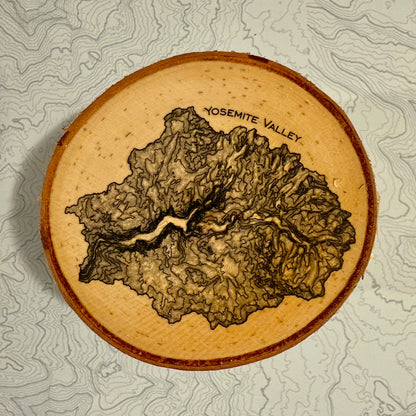 Topo Coaster | Live-Edge Birch