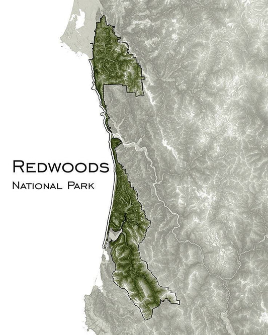 Redwood