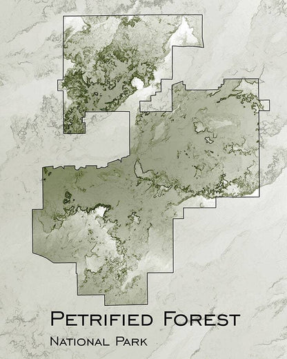 Petrified Forest