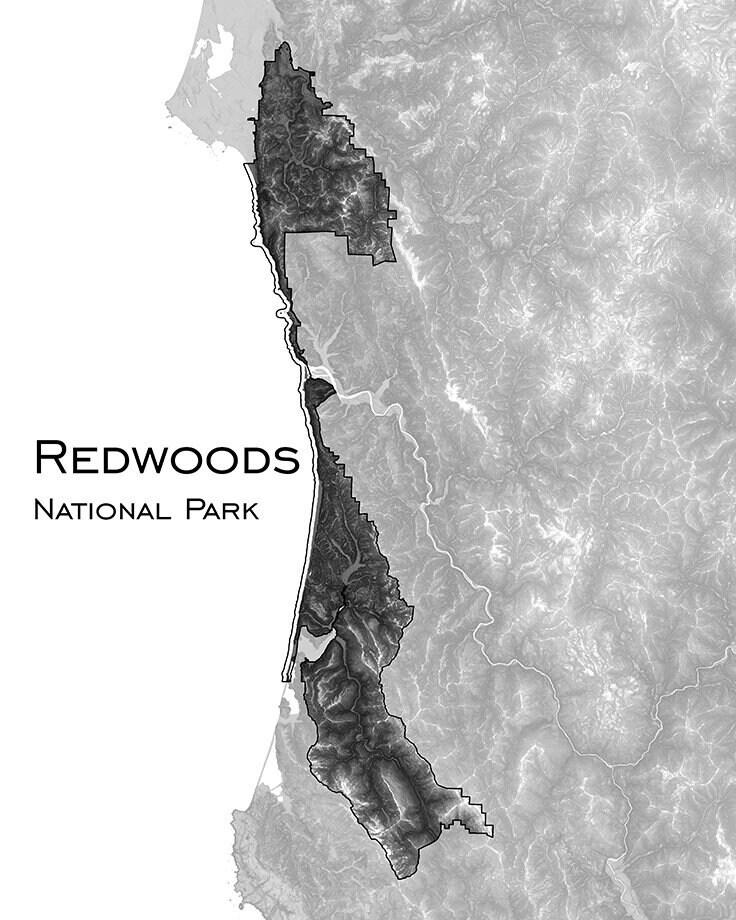 Redwood