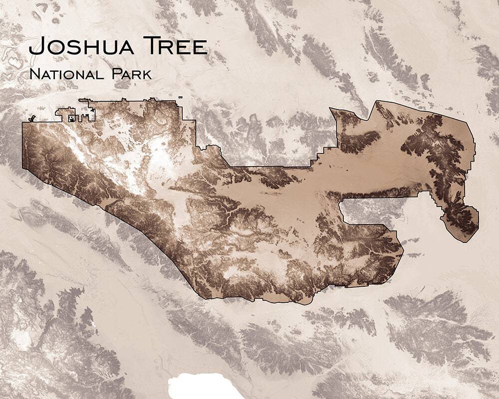 Joshua Tree