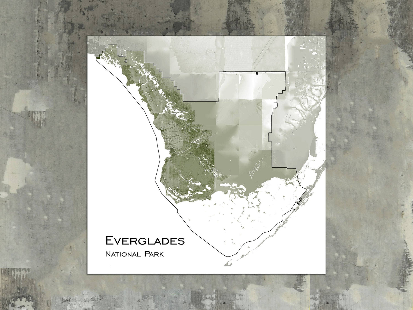 Everglades