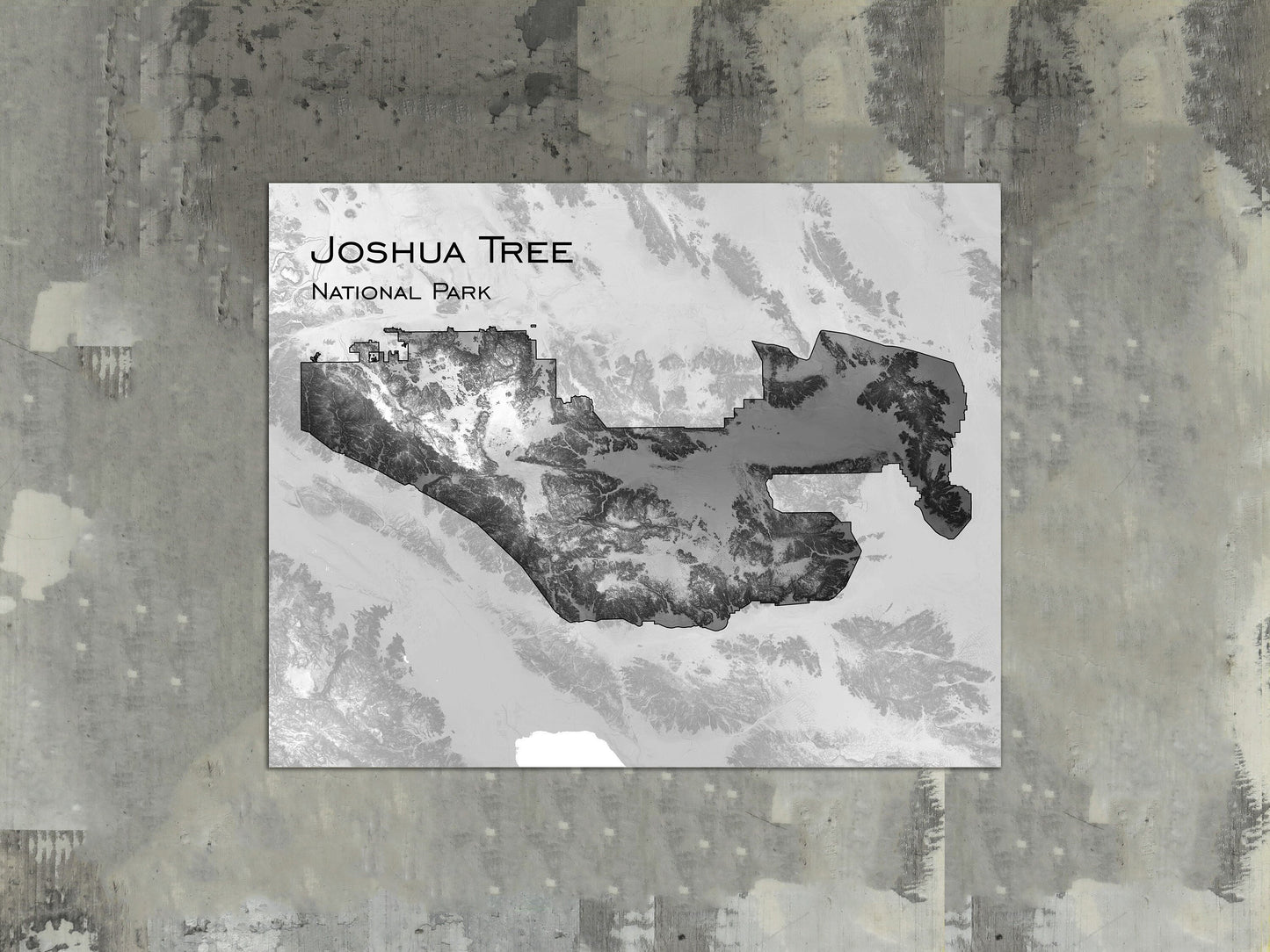 Joshua Tree