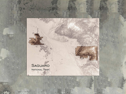 Saguaro