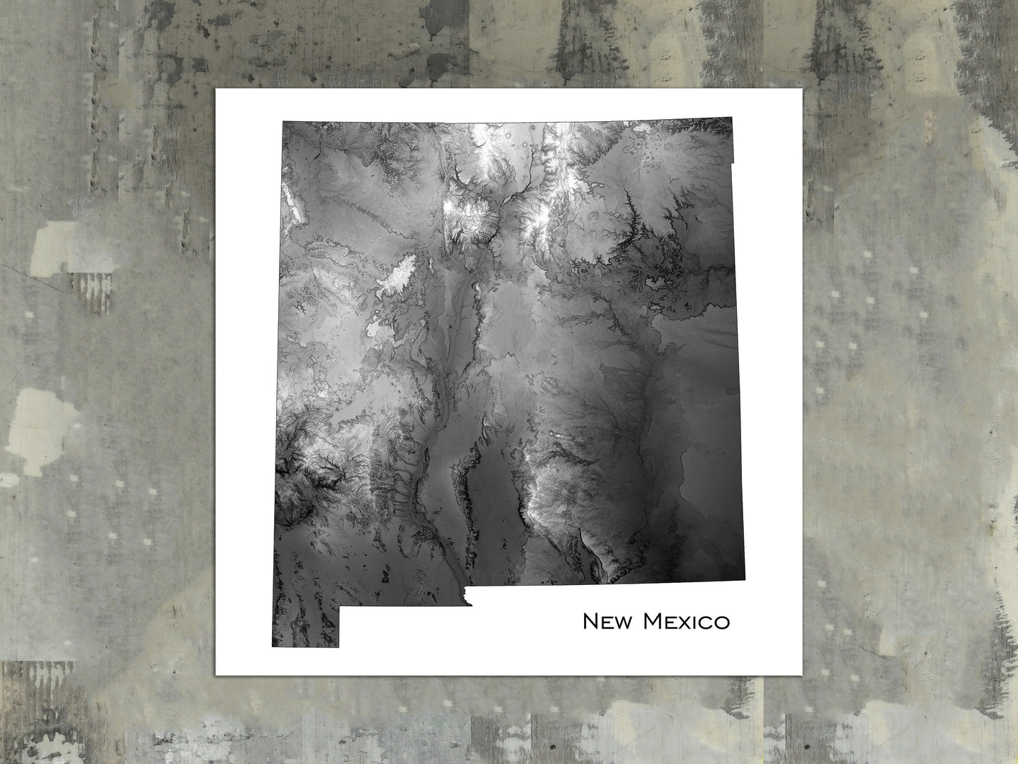 New Mexico