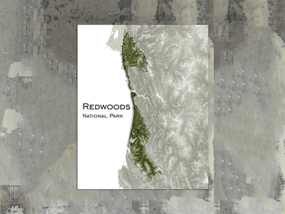 Redwood