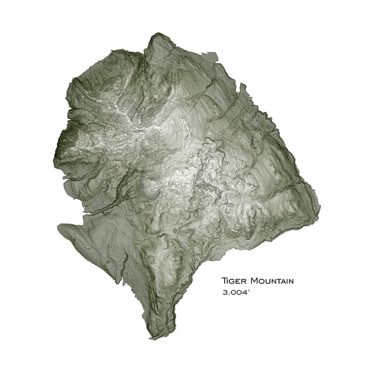 Tiger Mountain